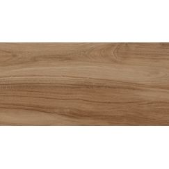 Керамогранит LB Ceramics Шварц 6260-0196 натуральный 30×60 см